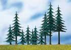 PINE TREES - HO